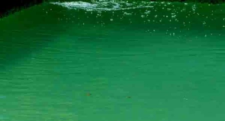 green_pool-450x242.jpg